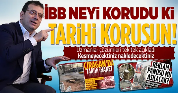 CHP'li İBB tarihi 112 çınarı kökünden kestirmişti! Uzmanlardan çınarlar için kurtarıcı çözümler! Bu ağaçları kesmeye gerekçe ne gösterilmiştir?