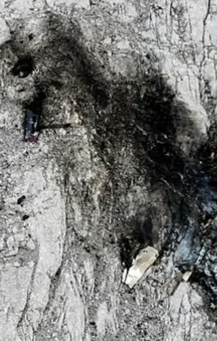 Avusturya'da uçak kazası: 3 ölü