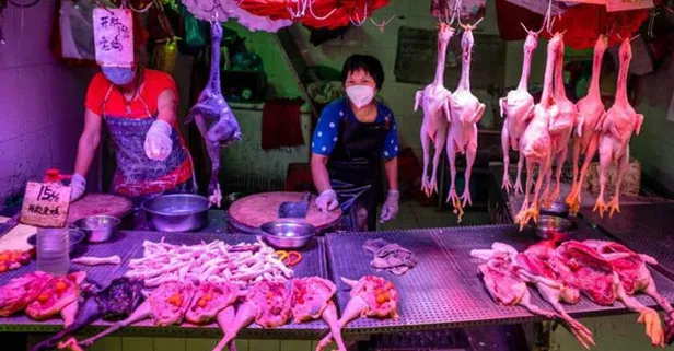 Koronavirüsü dünyanın başına bela eden Çin akıllanmayacak! Bu sefer de kurbağa ve kaplumbağa yiyorlar!-4