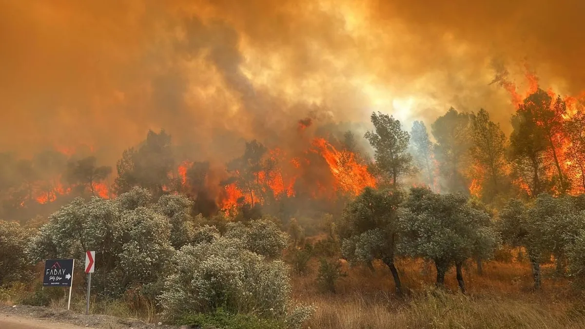 Çanakkale Valiliği'nden orman yangını uyarısı