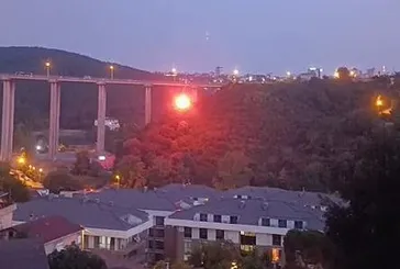 Beykoz’da orman yangını kamerada! Kısa sürede söndürüldü | İşaret fişeği atan şüpheli tutuklandı