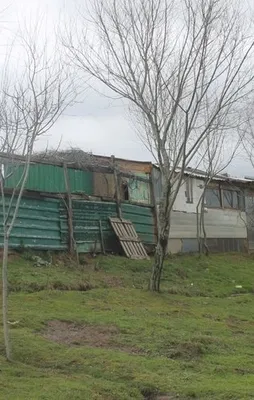 Dehşet çiftliği ile ilgili korkunç gerçek