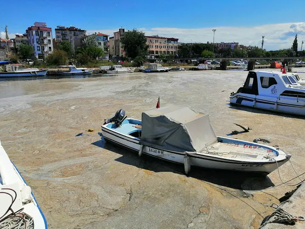 son-dakika-ak-parti-sozcusu-omer-celikten-mkyk-toplantisinin-ardindan-onemli-aciklamalar-1622737430117.jpg Son dakika! AK Parti Sözcüsü Ömer Çelik'ten MKYK toplantısının ardından önemli açıklamalar-6