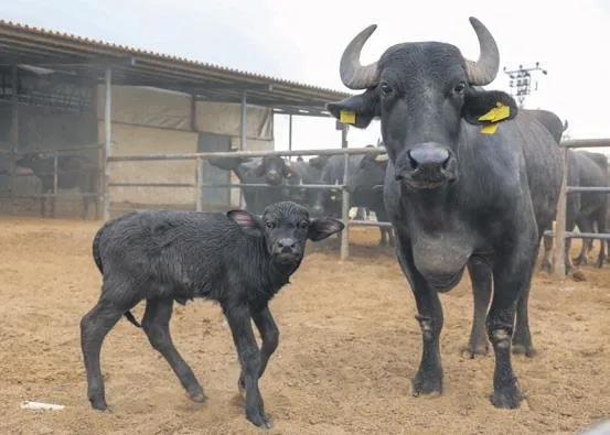 umraniye-miamiyi-gecti-manhattanda-21-dairenin-aylik-kirasi-7-bin-500-dolara-verilirken-kunduda-145-bin-lirayi-1666305748553.jpeg Ümraniye, Miami’yi geçti! Manhattan’da 2+1 dairenin aylık kirası 7 bin 500 dolara verilirken, Kundu'da 145 bin lirayı buldu-3