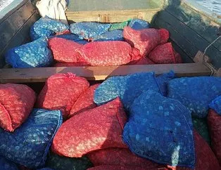 Midye kaçakçılığına binlerce lira ceza!