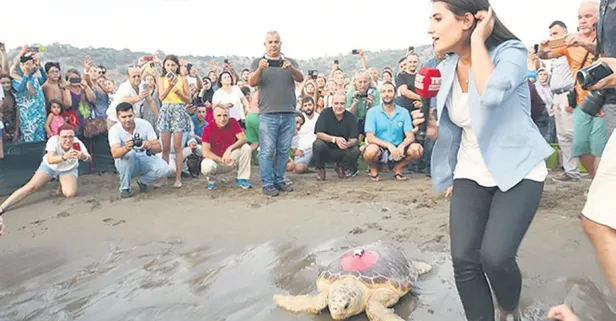 Caretta Tuba bir yılda 5 bin 500 kilometre yol aldı, Arnavutluk’a ulaştı!