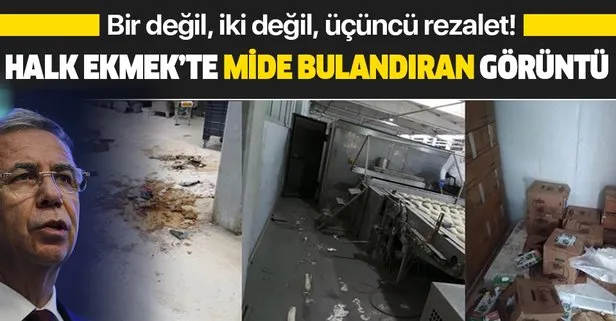 Son dakika: CHP’li Ankara Büyükşehir Belediyesi Halk Ekmek Fabrikası’nda üçüncü rezalet! Mide bulandıran görüntüler