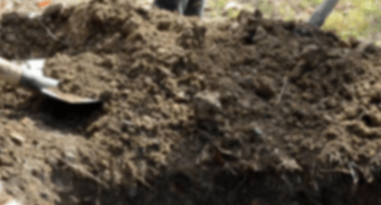 istanbulda-kacirip-mezarini-kazdilar-genc-kiz-yasadiklarinigozyaslari-icinde-anlatti-ormanlik-alanda-beni-oldu-1688631831770.png İstanbul'da kaçırıp mezarını kazdılar! Genç kız yaşadıklarını gözyaşları içinde anlattı: Ormanlık alanda beni öldürüp gömmek için yer aradılar-8