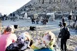 Nemrut ses verdi