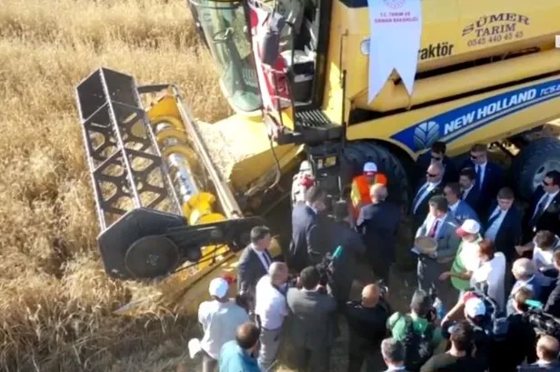 Başkan Erdoğan biçerdöverde buğday hasadı yaptı-1