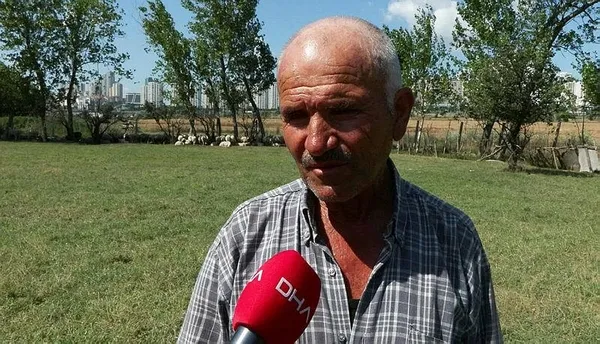 avcilarda-kurbanlik-7-tosun-kacti-bulana-odul-1687883402350.jpeg Avcılar'da kurbanlık 7 tosun kaçtı: Bulana ödül!-6