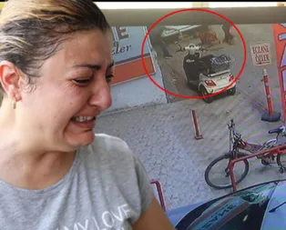 Hamile kediyi Pitbulla atıp parçalatmışlardı! 3 çocuk gözaltına alındı