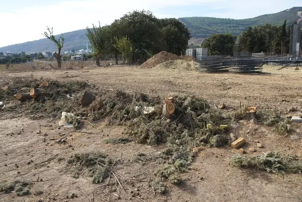 chpli-seferihisar-belediyesi-asirlik-agaclari-kokunden-kesti-agaclar-kurudu-yalanini-fotograflar-ortaya-cikadi-1665640906012.jpg CHP'li Seferihisar Belediyesi asırlık ağaçları kökünden kesti! 'Ağaçlar kurudu' yalanını fotoğraflar ortaya çıkardı-3