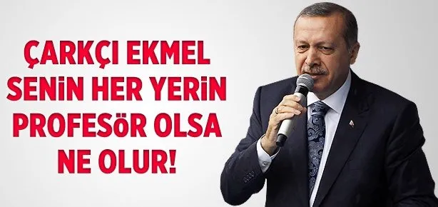 Senin her yerin Prof. olsa ne olur