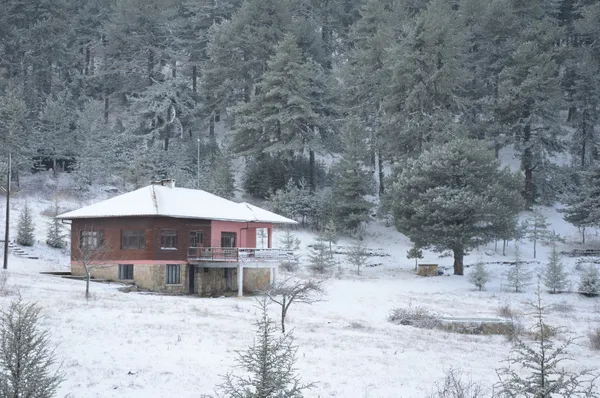 2-aralik-persembe-hava-durumu-meteorolojiden-kar-ve-firtina-uyarisi-istanbula-kar-yagacak-mi-1638415256821.jpg 2 ARALIK PERŞEMBE HAVA DURUMU | Meteoroloji'den kar ve fırtına uyarısı! İstanbul'a kar yağacak mı?-4