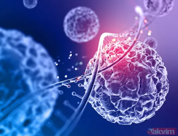 Reflü sandığı belirtiler pankreas kanseri çıktı: Teşhisten altı hafta sonra veda etti - 7