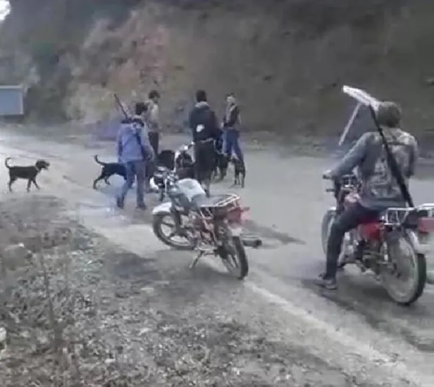 Yaraladıkları yavru domuzu av köpeklerine parçalatan avcılar cezadan kaçamadı! Denizli'de tepki çeken görüntü-4