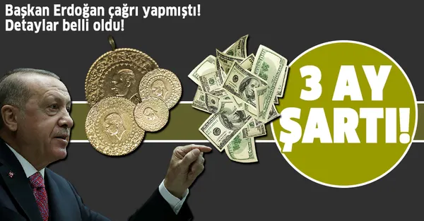 Son dakika: Başkan Erdoğan altın ve dolar çağrısı yapmıştı! Varlık Barışı'nın detayları belli oldu! 3 ay şartıyla vergiler...-1