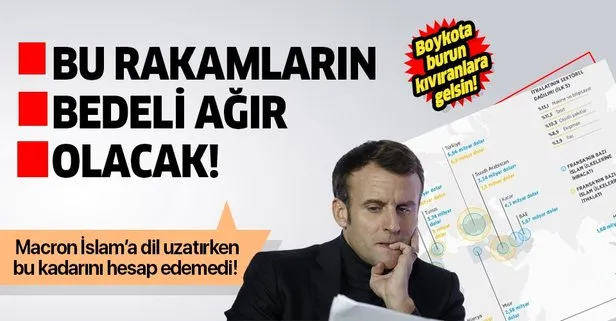 Fransa'nın İslam ülkeleriyle ticareti 100 milyar doları aşıyor!