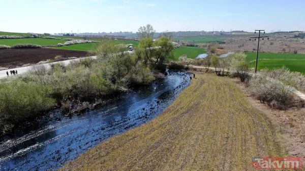 Edirne'de çevre katliamı! Tonlarca fuel oil 30 dekar alana ve dere yatağına yayıldı - 28
