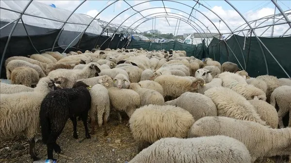 is-ariyorsaniz-dikkat-5-bin-tl-maasa-calisacak-kimse-bulunamiyor-kursa-gitmek-yeterli-1617651582433.jpg İş arıyorsanız dikkat! 5 bin TL maaşa çalışacak kimse bulunamıyor! Kursa gitmek yeterli...-4