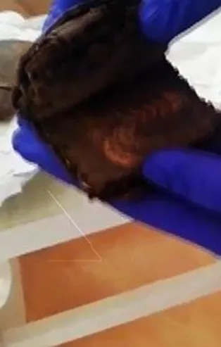 Son dakika: Bursa'da 2 bin yıllık 2 adet İncil'i satmaya çalışan 4 tarihi eser kaçakçısı suçüstü yakalandı