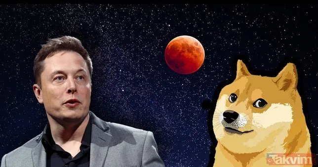 Shiba Unı (SHIB) Nedir, Nasıl Alınır?