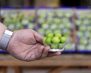 Çeyrek altından daha pahalı!