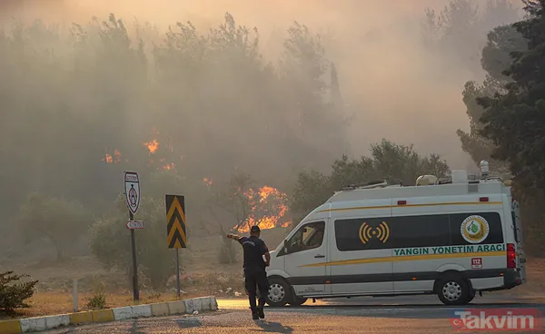 İzmir ve diğer illerde alevler kontrol altına alındı! Menderes'i yakan 'hobi' Çeşme'de izmarit izi: Bakan 'haftaya dikkat' diyerek uyardı - 41