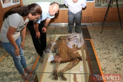 14 asırdır bozulmayan ceset Karaman Müzesi’nde sergileniyor