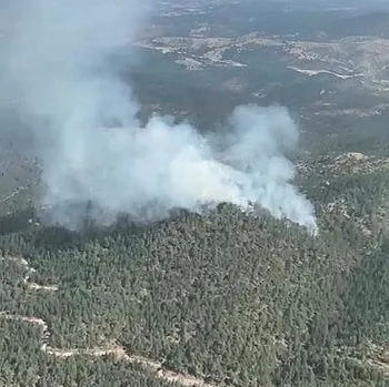 Kütahya’da orman yangını!