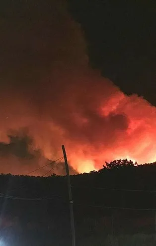 Kütahya'da orman yangını kontrol altında!