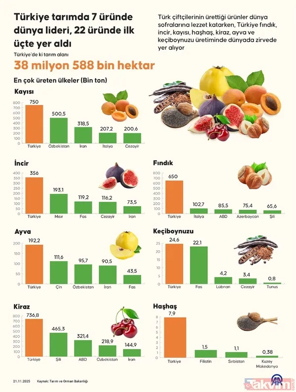 Anadolu’nun bereketi küresele taşındı! Türkiye’den 7 ürün dünya lideri - 9