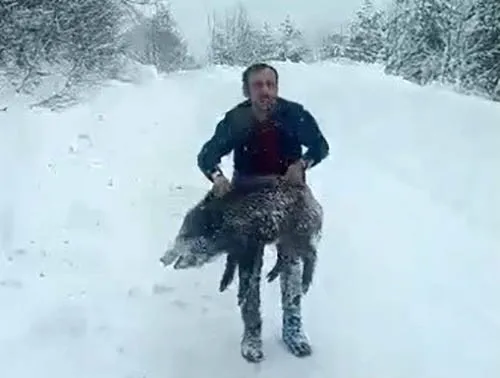 eliyle-domuz-yakalayan-senel-yilmaz-konustu-ensesinden-tuttum-1767768020790.jpeg Eliyle domuz yakalayan Şenel Yılmaz konuştu: Ensesinden tuttum-3