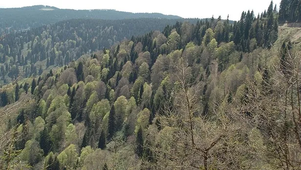 ogm-isci-alimi-basvurusu-nasil-yapilir-basvurular-basladi-iste-ogm-isci-alimi-yapilacak-iller-1596647821680.jpg OGM işçi alımı başvurusu nasıl yapılır? İŞKUR'dan başvurular başladı! İşte işçi alımı yapılacak iller-5