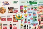 Tarım Kredi 23-29 Eylül aktüel kataloğu sepetleri dolduracak! 50 üründe dev indirim başladı