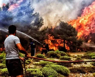 İnsanları yaktınız