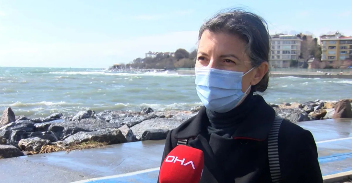 Pendik ve Kartal sahilindeki ’kirliliğin arkasından deniz salyası çıktı!