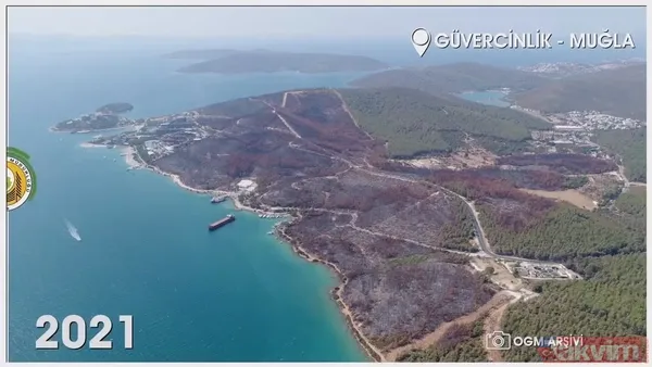 Orman Genel Müdürlüğü paylaştı! İşte yanan ormanların eski ve yeni hali: İzmir, Muğla, Çanakkale ve Balıkesir... - 5