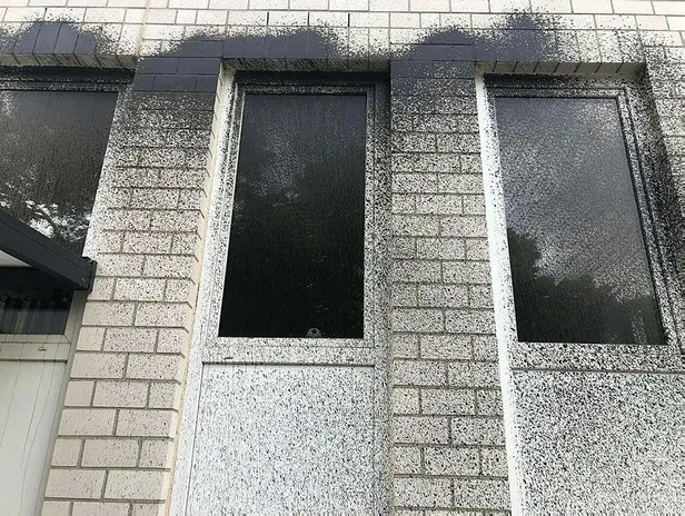 irkci-avrupa-almanyada-camiye-boyali-saldiri-1653028699390.jpeg Irkçı Avrupa: Almanya'da camiye boyalı saldırı-2