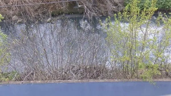 İstanbul'da 4 ilçede alarm! Marmara Denizi'ne dökülen Ayamama Deresi mavi ve siyah akıyor-3