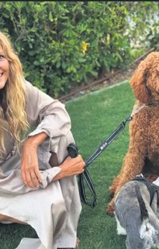 Türkiye’de geniş aile