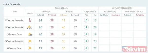 Uzmanlardan aşırı sıcak uyarısı: İstanbul'da dereceler çıldıracak! - 41