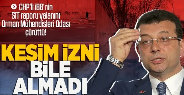 Kesim izni bile almadılar