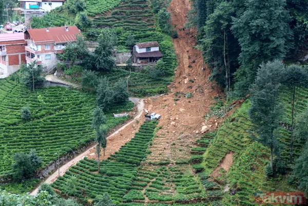 Doğu Karadeniz'i bekleyen büyük facia! Kaçak çaylıklar için ormanlar kesiliyor - 14
