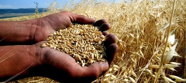 Tarıma 100 milyarlık destek