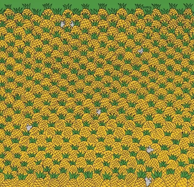 zeka-testi-ananaslarin-icindeki-4-misir-nerede-867-kisiden-33u-15-saniyede-bulabildi-1714124088996.jpg Zeka testi: Ananasların içindeki 4 mısır nerede? 867 kişiden 33'ü 15 saniyede bulabildi-2