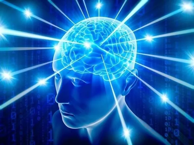 zeka-testi-karpuzlarin-icindeki-yilan-nerede-535-kisiden-sadece-3u-basarabildi-1722104582992.jpg 535 kişiden sadece 3'ü başarabildi! Zeka testi: Karpuzların içindeki yılan nerede?-4