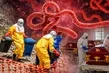 Ebola salgınında yeni tehlike! Can kaybı 4 bin 178’e çıktı: Nijerya’dan uluslararası yayılma riski uyarısı