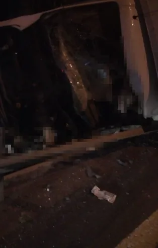 Kayseri'de yarış atı taşıyan kamyon devrildi: 2 ölü, 1 yaralı